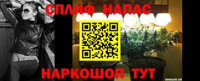гидра Бузулук